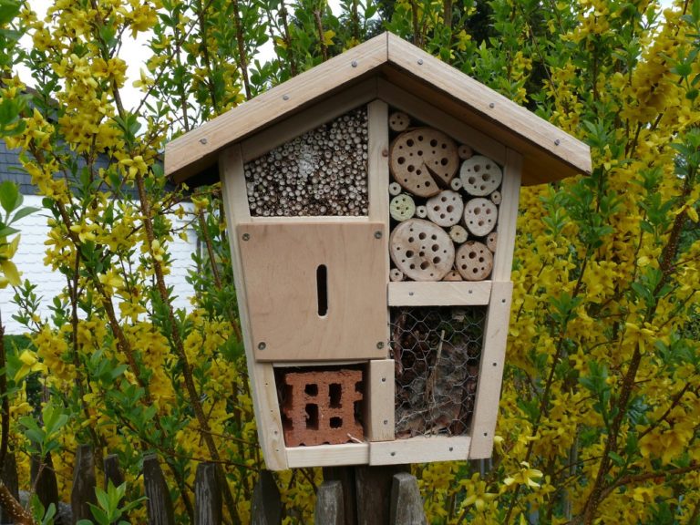 Bricolage construire h  tel insectes     Fenouil Biocoop