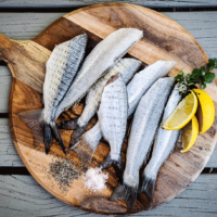 Nos poissonniers en vadrouille chez nos fournisseurs