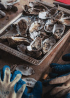 Commandez vos produits festifs : fruits de mer, pains spéciaux, bûches…
