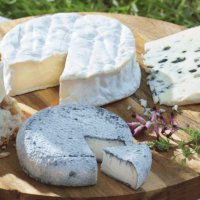 Fête des fromages bio de printemps 2021