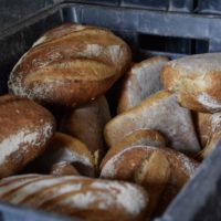 Message des Champs de Blé : création d’une boulangerie bio