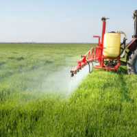 Table ronde : pesticides et substances chimiques, leurs dangers pour l’environnement et la santé