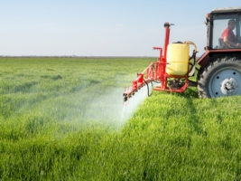 Table ronde : pesticides et substances chimiques, leurs dangers pour l’environnement et la santé
