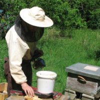 La Petite Abeille de Normandie, miels et confiseries de la ruche bio