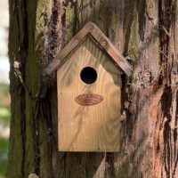 Atelier DIY : nichoir en bois