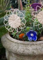 Samedi 24 mai, rendez-vous à la Fête du jardin vivant