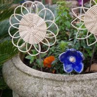 Samedi 24 mai, rendez-vous à la Fête du jardin vivant