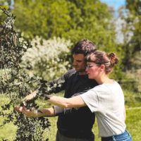 Brindille, ferme florale bio