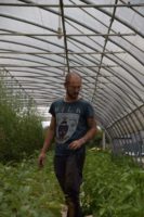 Protégé : La Ferme du Gros Chesnay, légumes diversifiés, aromates et fleurs bio
