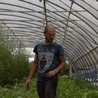 Protégé : La Ferme du Gros Chesnay, légumes diversifiés, aromates et fleurs bio
