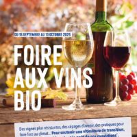 18 vins bio coups de cœur de nos spécialistes