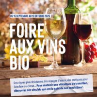 18 vins bio coups de cœur de nos spécialistes