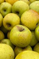 En octobre, croquez la pomme