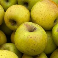 En octobre, croquez la pomme