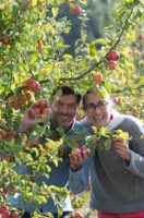 Protégé : La Ferme de Villeray, ferme maraîchère et arboricole bio