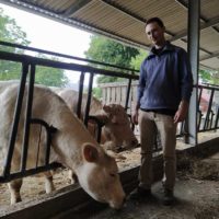 Le GAEC Renou, ferme bio en polyculture-élevage