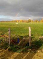 Chantier participatif à la ferme pour planter des haies