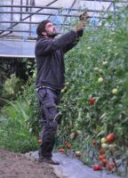 Fin d&rsquo;activité de Florent Rouillard, maraîcher bio