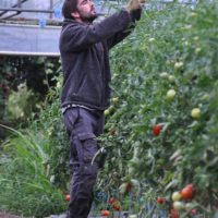 Fin d&rsquo;activité de Florent Rouillard, maraîcher bio