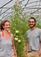 La Ferme du Petit Fouillet, ferme maraîchère bio