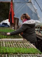La Ferme de la Moncesière, légumes bio diversifiés