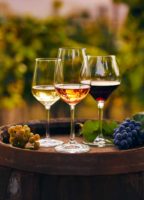 Foire aux vins et aux fromages d&rsquo;automne 2025